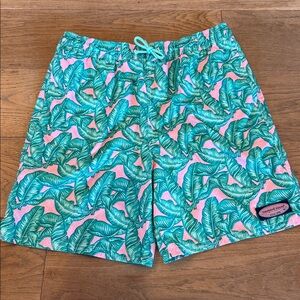 Vineyard Vines Chappy Trunks - L